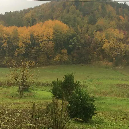 Virginia
